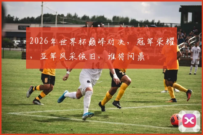 2026年世界杯巅峰对决，冠军荣耀，亚军风采依旧，谁将问鼎