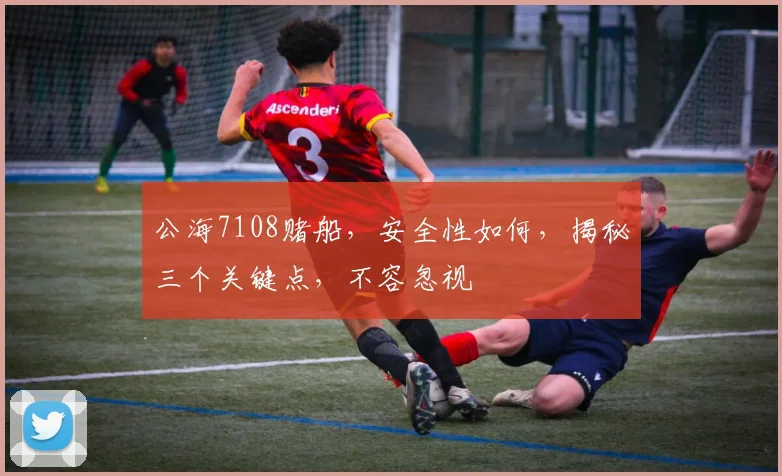 公海7108赌船，安全性如何，揭秘三个关键点，不容忽视