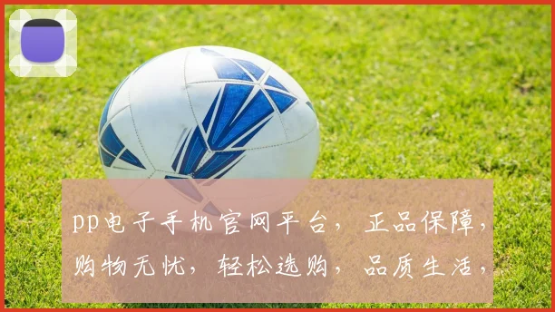 pp电子手机官网平台，正品保障，购物无忧，轻松选购，品质生活，两重惊喜，尽在掌握