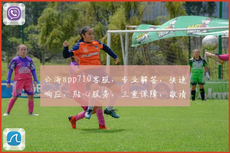 公海app710客服，专业解答，快速响应，贴心服务，三重保障，敬请咨询，体验非凡
